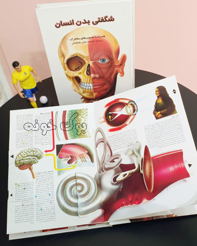 کتاب سه بعدی شگفتی های بدن انسان (pop up )